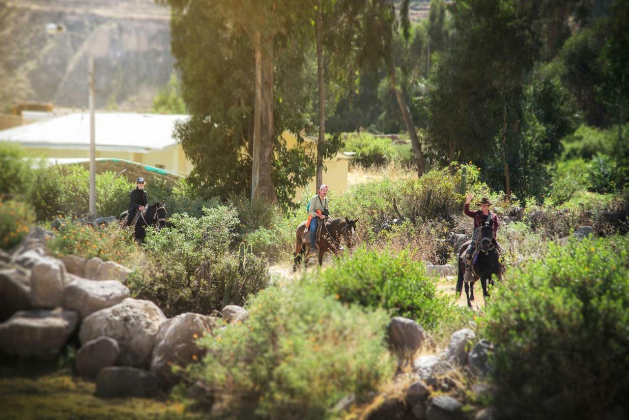 Le Foyer Colca Otel Yanque Dış mekan fotoğraf